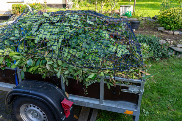 Shed Removal in Plymouth, PA